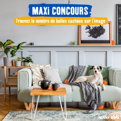 Maxi Concours | Maxi Zoo Maxi Zoo Image 1